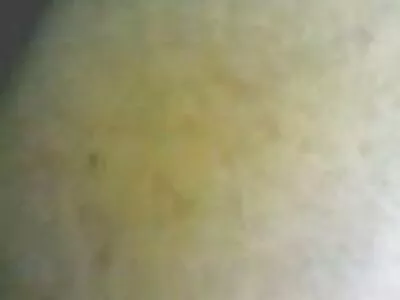 Sexe en groupe lesbiennes sucent et se font enculer tasses couche culotte porno