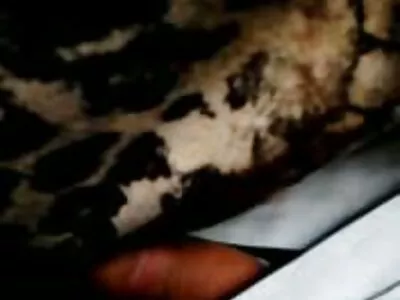 Deux mamans lors d'une fête organisent des relations sexuelles couche culotte porno en groupe avec un jeune fils